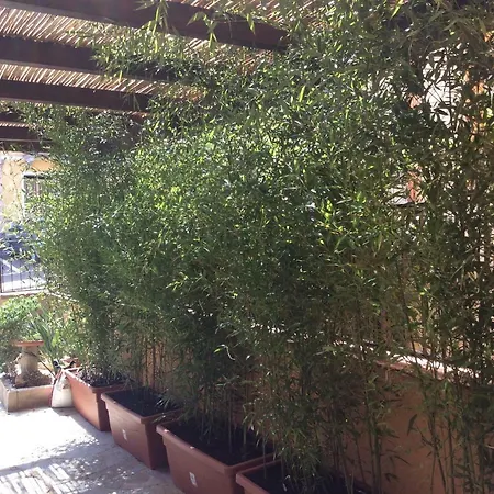 Oda ve Kahvaltı Casa Tacconi 4*