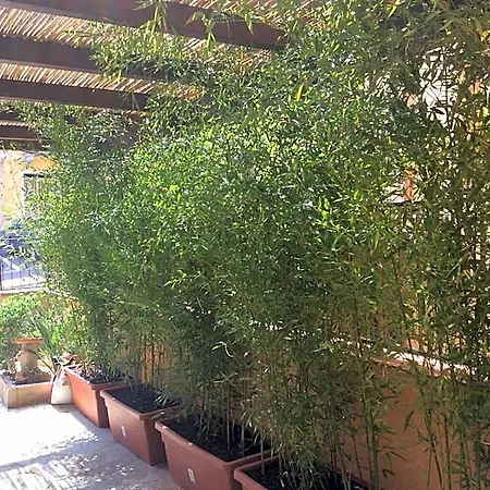 Bed and Breakfast Casa Tacconi